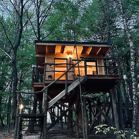 מורבסקה טופליצה Living Forest Resort מראה חיצוני תמונה