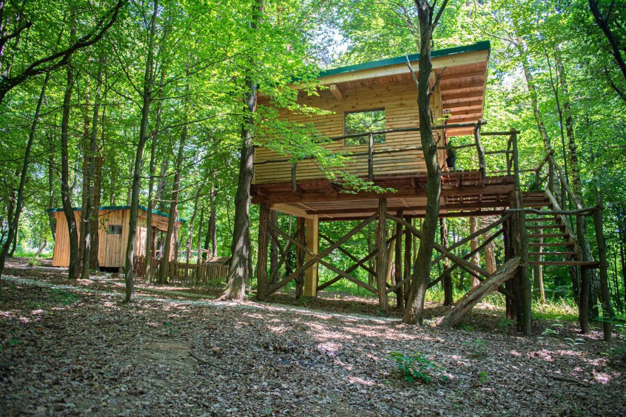 מורבסקה טופליצה Living Forest Resort מראה חיצוני תמונה