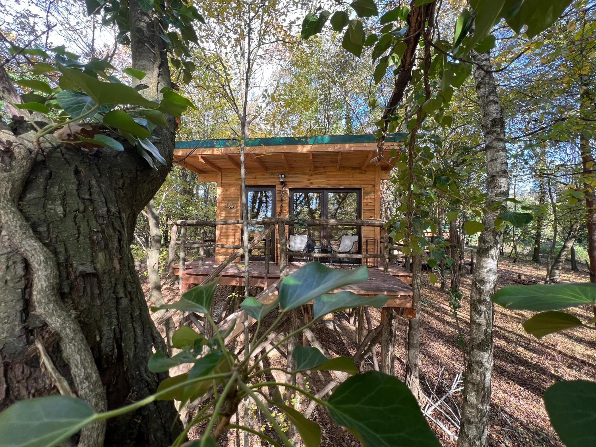 מורבסקה טופליצה Living Forest Resort מראה חיצוני תמונה