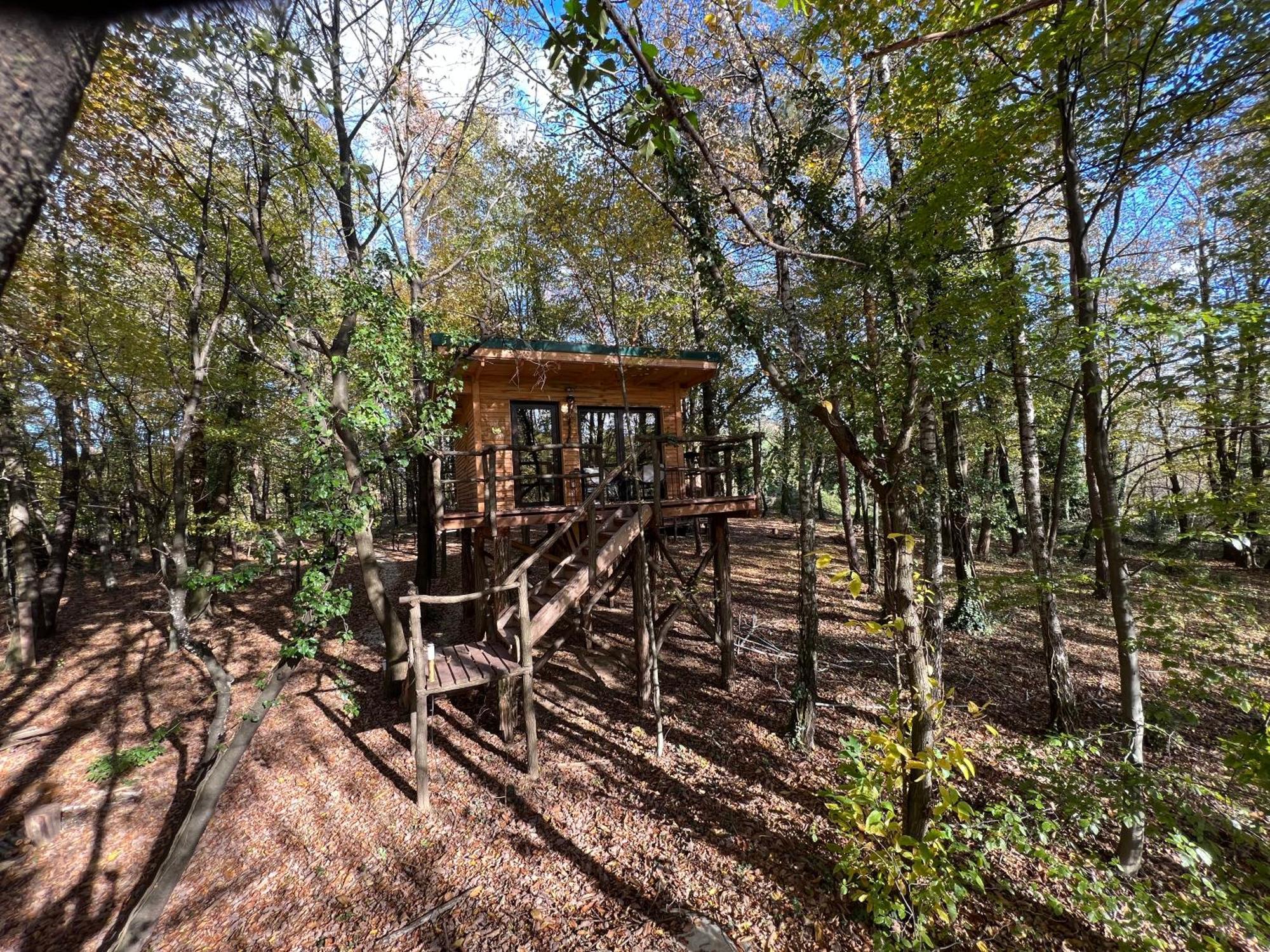 מורבסקה טופליצה Living Forest Resort חדר תמונה