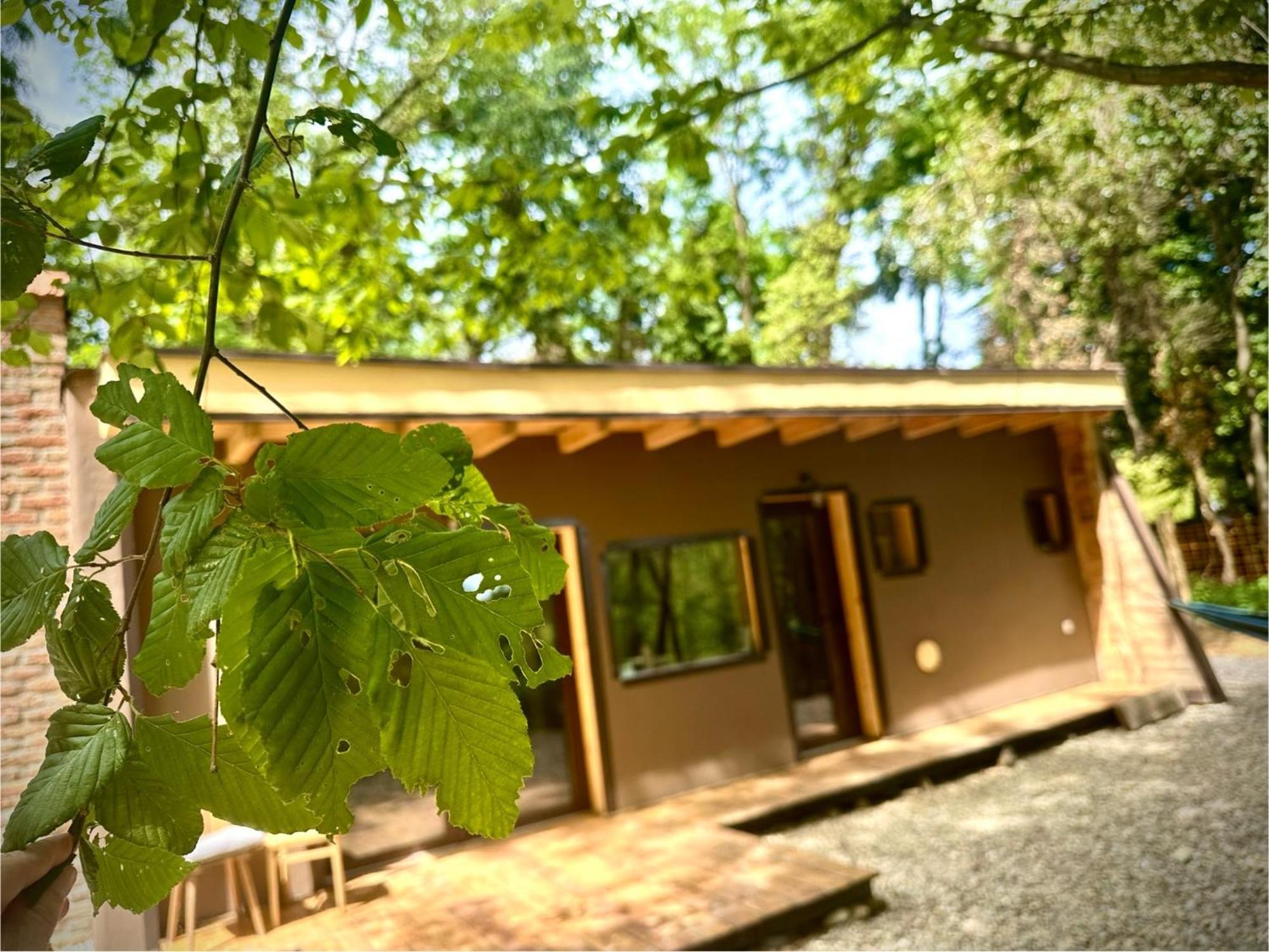 מורבסקה טופליצה Living Forest Resort מראה חיצוני תמונה
