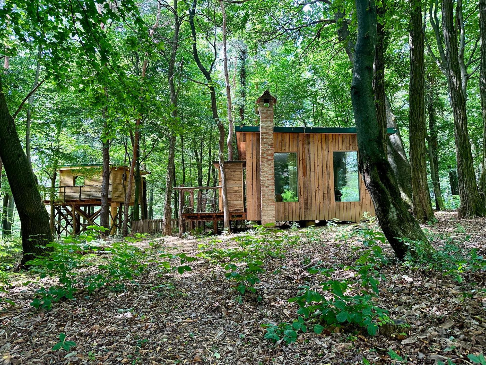 מורבסקה טופליצה Living Forest Resort מראה חיצוני תמונה